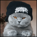 Sirious_К0t